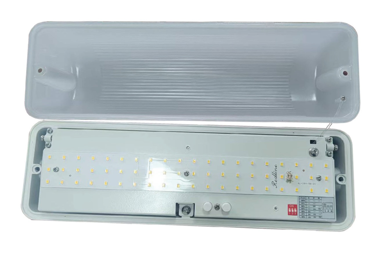 LED Ceiling Light