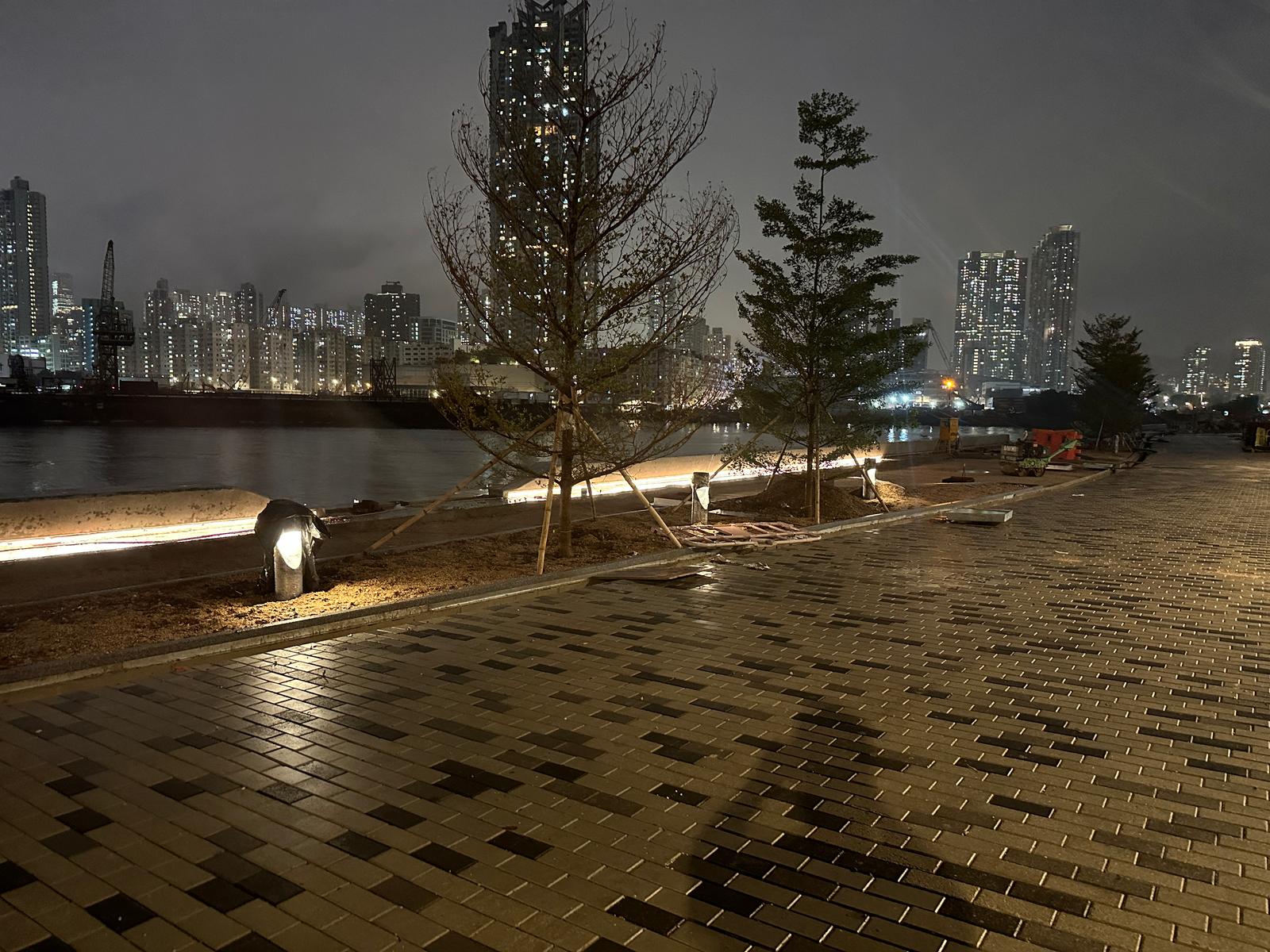 LED Solar Lawn Light