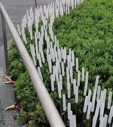 LED Reed Light