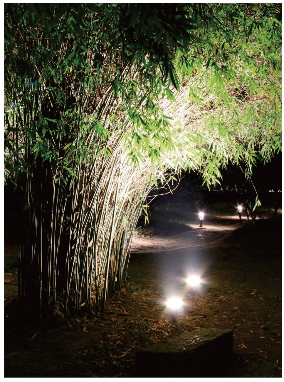 Uni‑directional Bollard Light