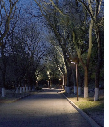 High‑output COB LED Garden Light