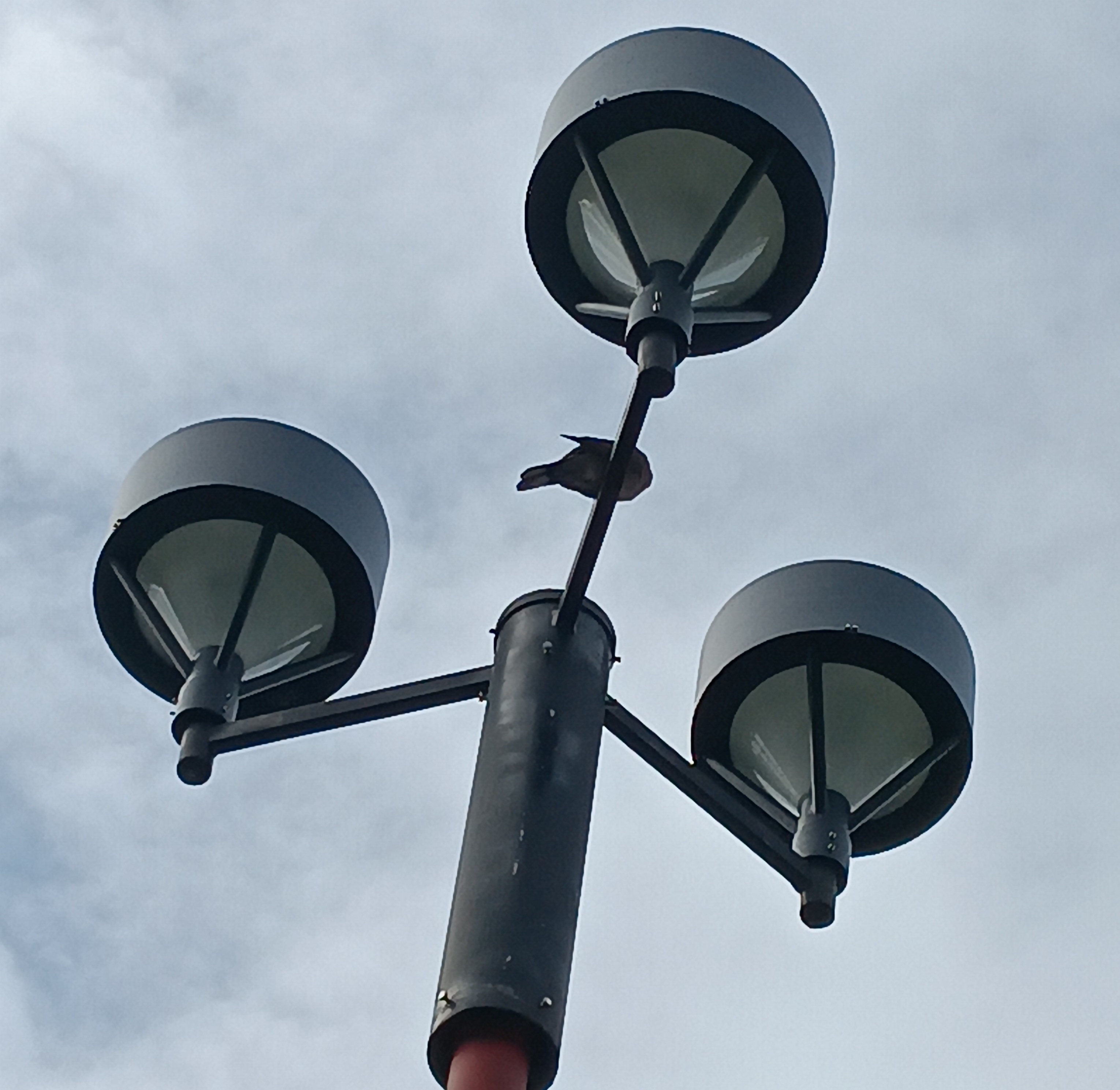 Hinged cylindrical Garden light