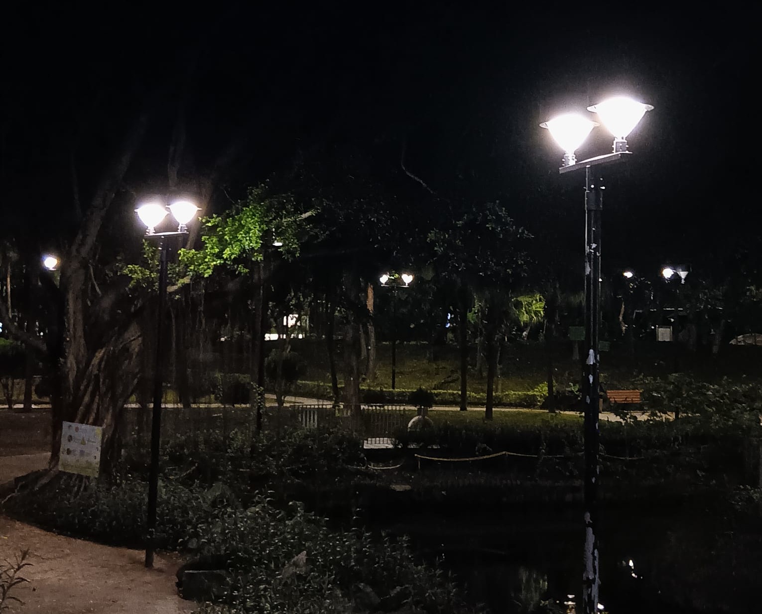 蝴蝶灣公園_2