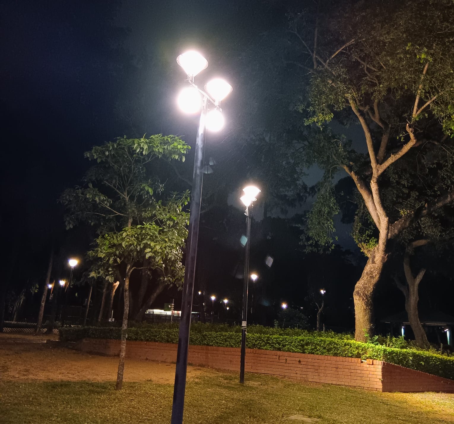 蝴蝶灣公園_7
