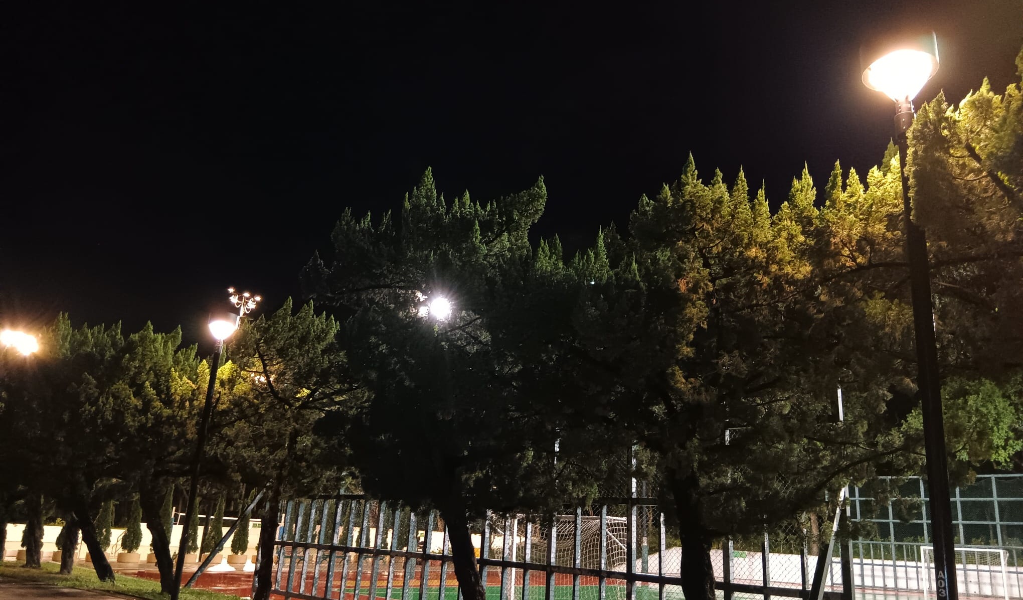 蝴蝶灣公園_5