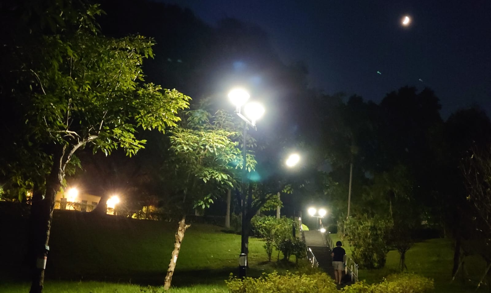 元朗公園_05