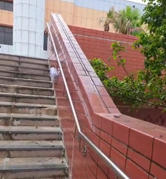 沙田大會堂_5