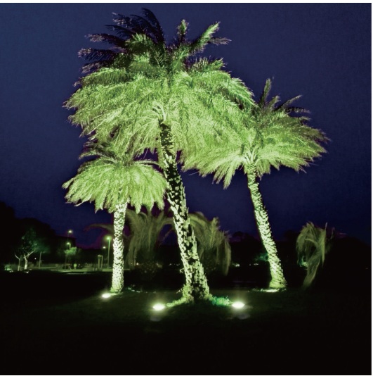 Angle-Adjustable In-Ground Light