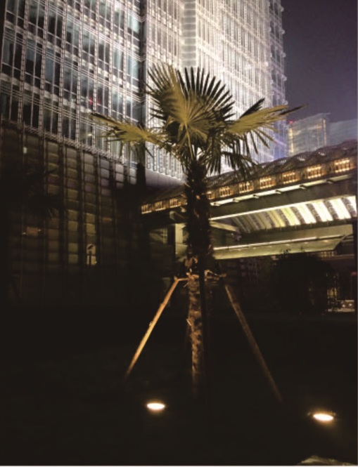 Underground Light