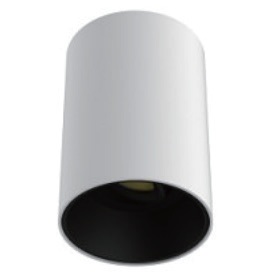 110mm Cylindrical Rotatable Surface Mounted Downlight