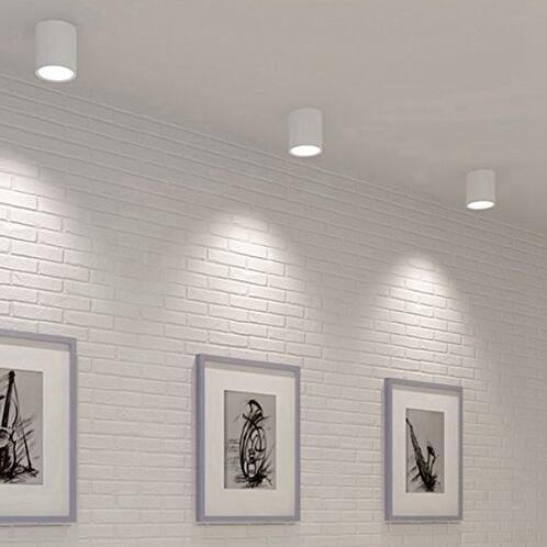 80mm Cylindrical Surface Mounted Downlight