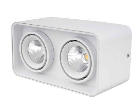 Twin Head Surface Mounted Downlight