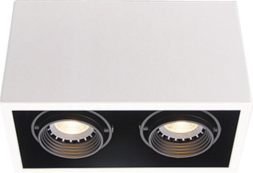 Twin Head Surface Mounted Downlight
