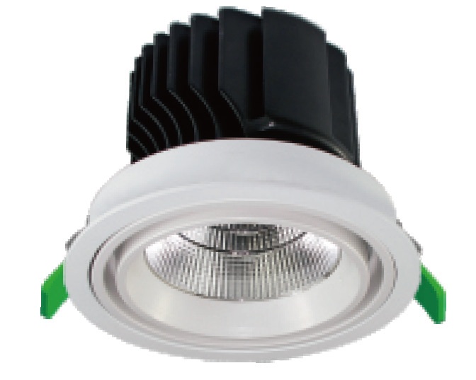 Tilt and rotation adjustable Downlight