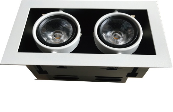 Twin head recessed downlight