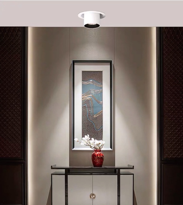 Cylindrical Rotatable Downlight