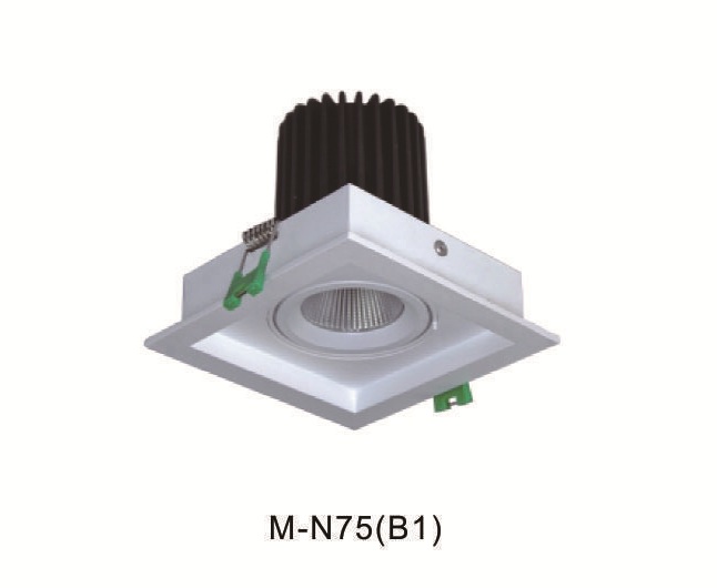 Single Head Adjustable Downlight