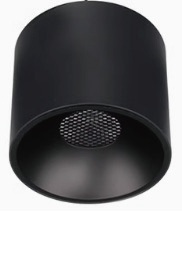 80mm Cylindrical Surface Mounted Downlight