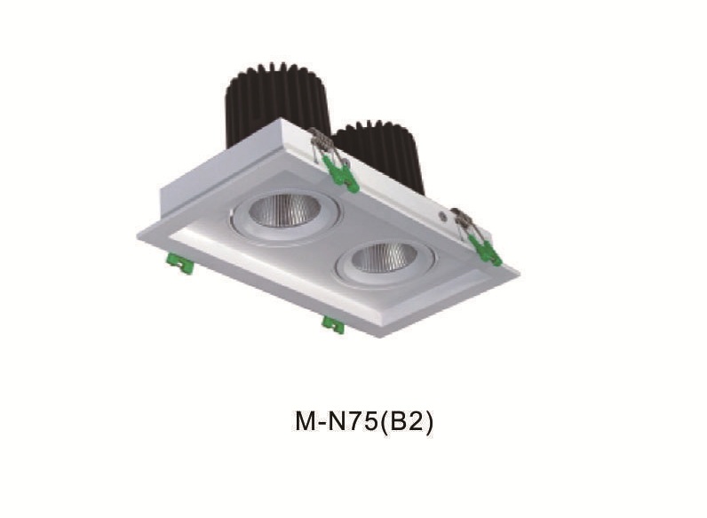 Double Head Adjustable Downlight