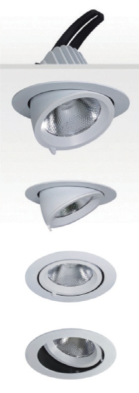 Tilt and rotation adjustable Downlight
