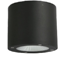 150mm Cylindrical Surface Mounted Downlight