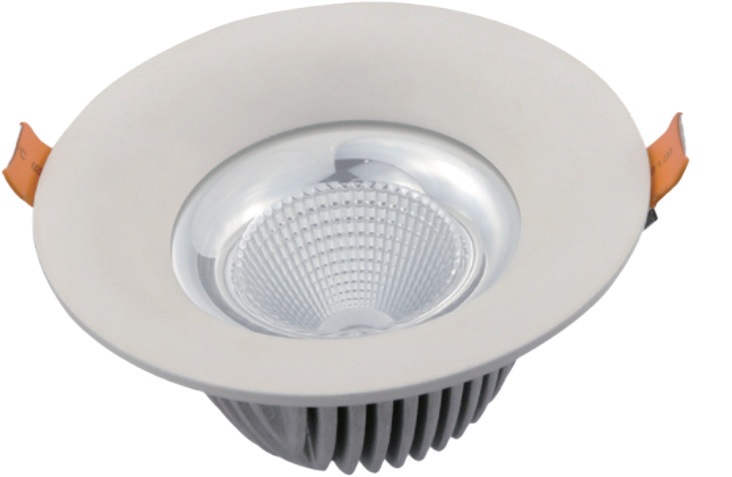 200mm Downlight
