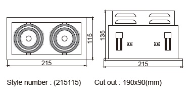 Twin head recessed downlight