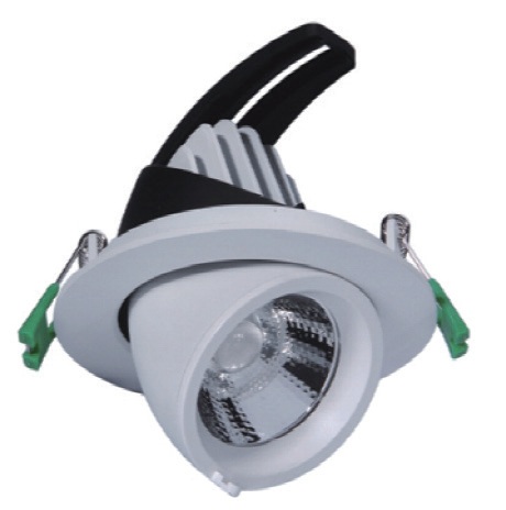 Tilt and rotation adjustable Downlight