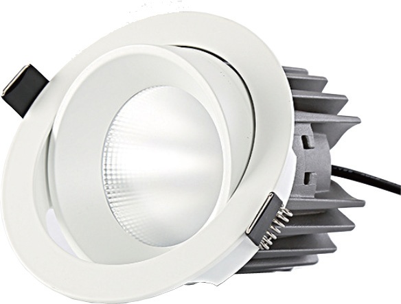 94mm adjustable Downlight