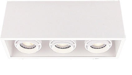 Triple Head Surface Mounted Downlight