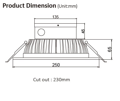250mm Downlight