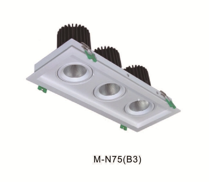 Triple Head Adjustable Downlight