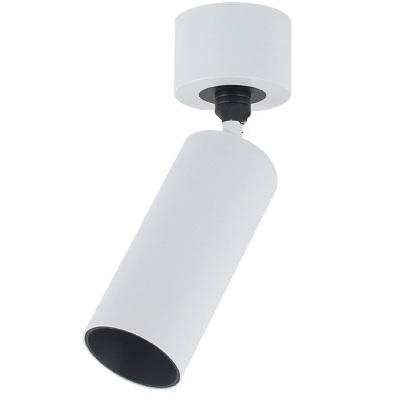 Dual-Axis Adjustable LED Track Spot Light