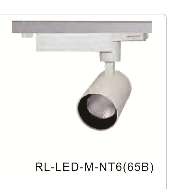 Dual-Axis Adjustable LED Track Spot Light